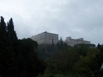 M. cassino