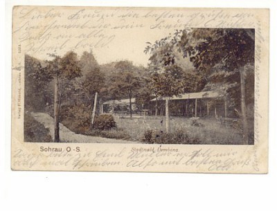 Sohrau O.S. Stadtwald Dembina gel. 11.9.1906.jpg