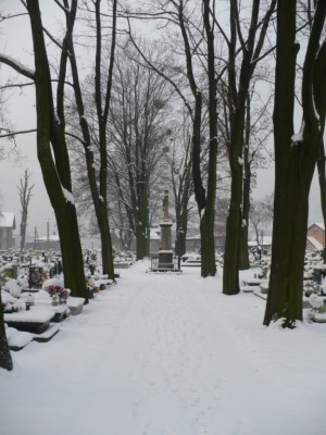 Boguszowice cmentarz (14).JPG