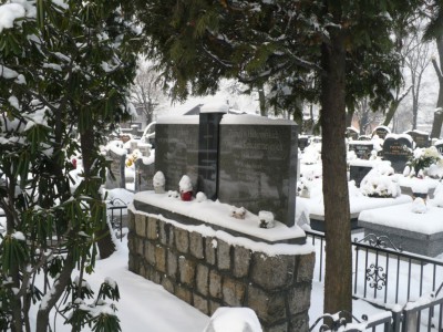 Boguszowice cmentarz pomnik.JPG