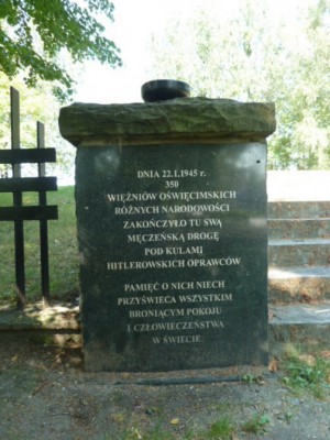 Pomnik Leszczyny (4).JPG