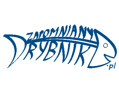 logo_zr_30.gif