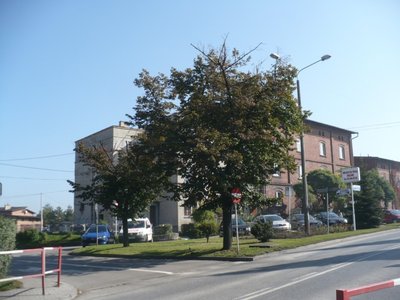 Chwałowice 3.10.2010 (55).JPG